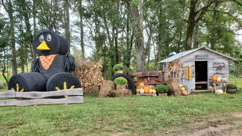 Penton Farms in Verbena is open through the end of October.