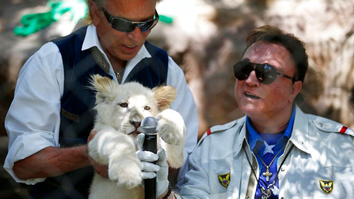 In this Thursday, July 17, 2014, file photo, Siegfried Fischbacher, left, holds up a white lion...