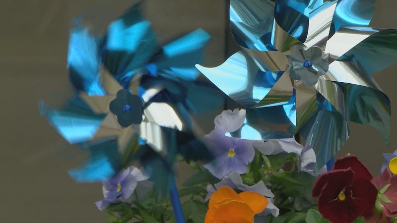 Blue pinwheels are the national symbol of child abuse prevention.