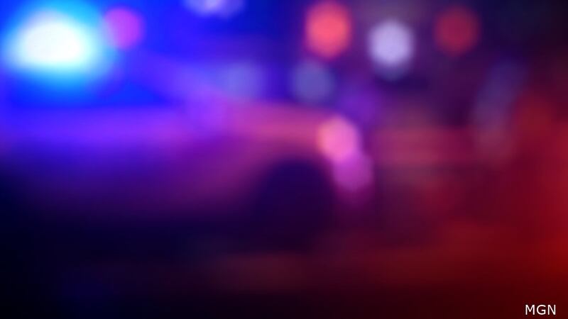 The dog was hit at least once and was taken to a local vet office with life-threatening injuries.