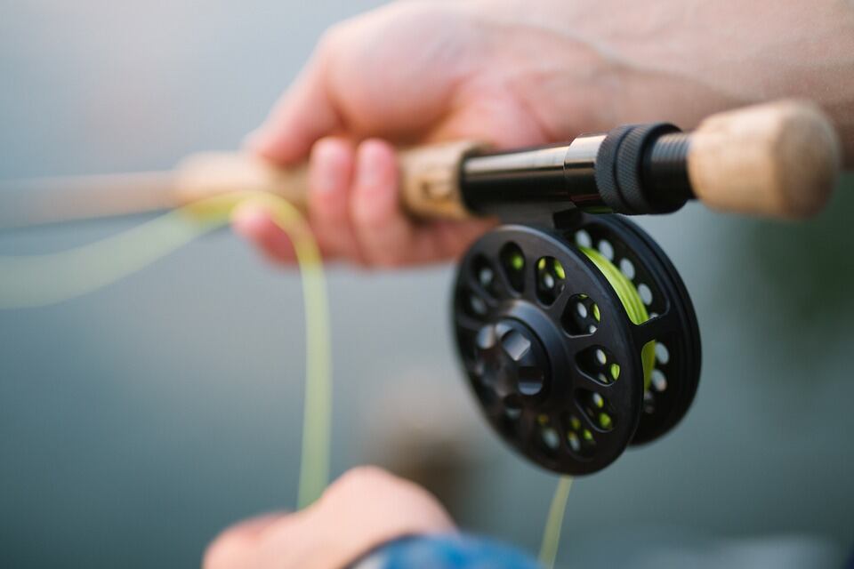 "Free Fishing Day" in Alabama set for Saturday, June 8 - Vimarsana News