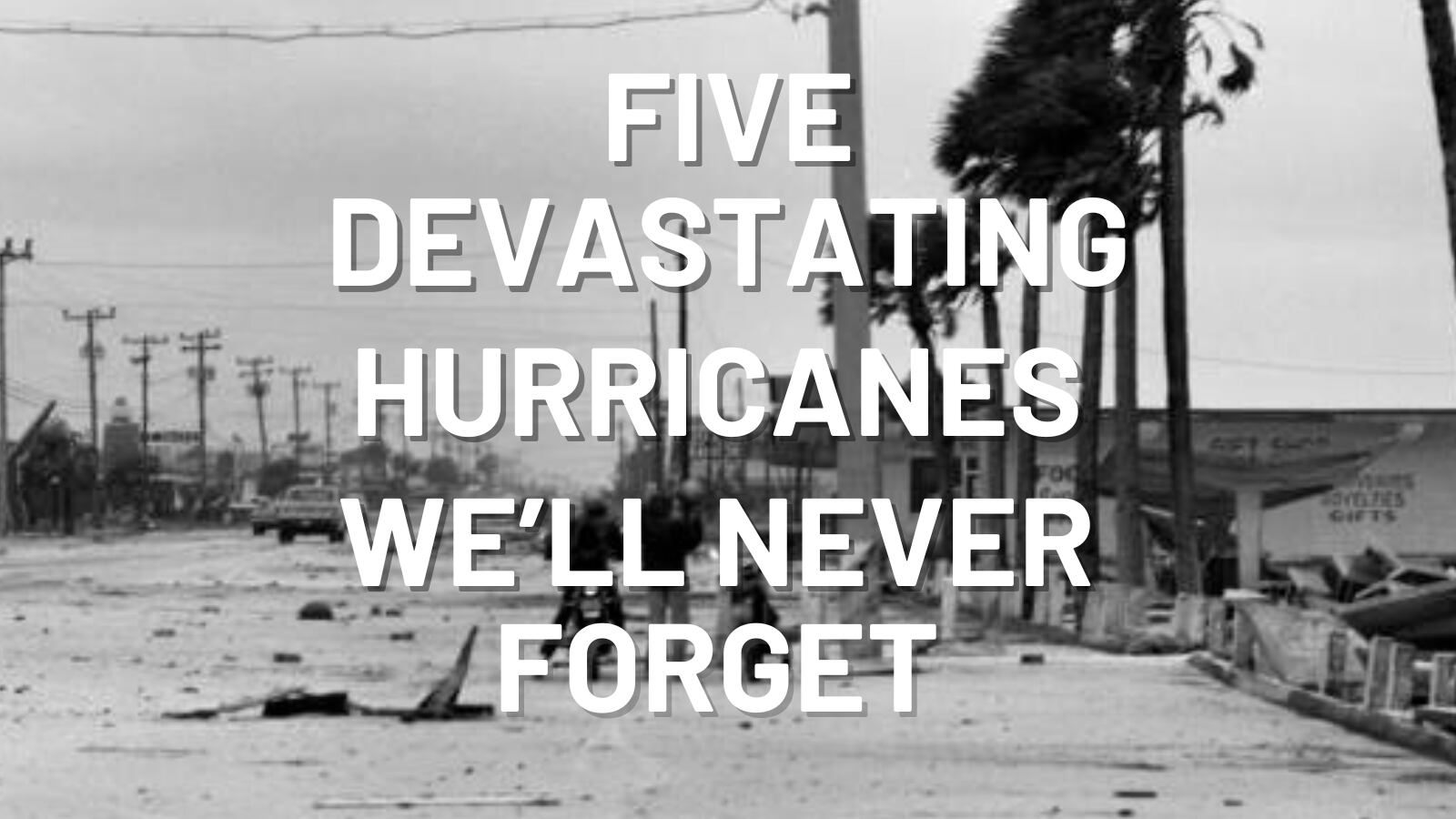 5 devastating hurricanes we'll never forget - Vimarsana News