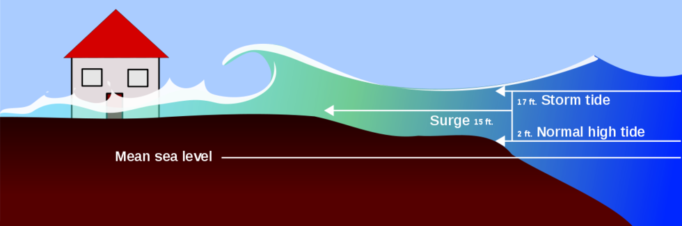 Elements of a Storm Tide