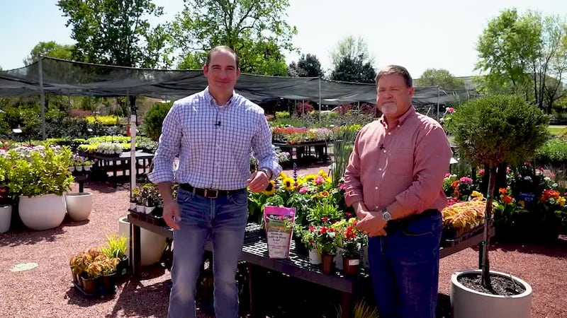 Spring has arrived, meaning Chief Meteorologist David Paul joined PC Brown of PC's Nursery to...